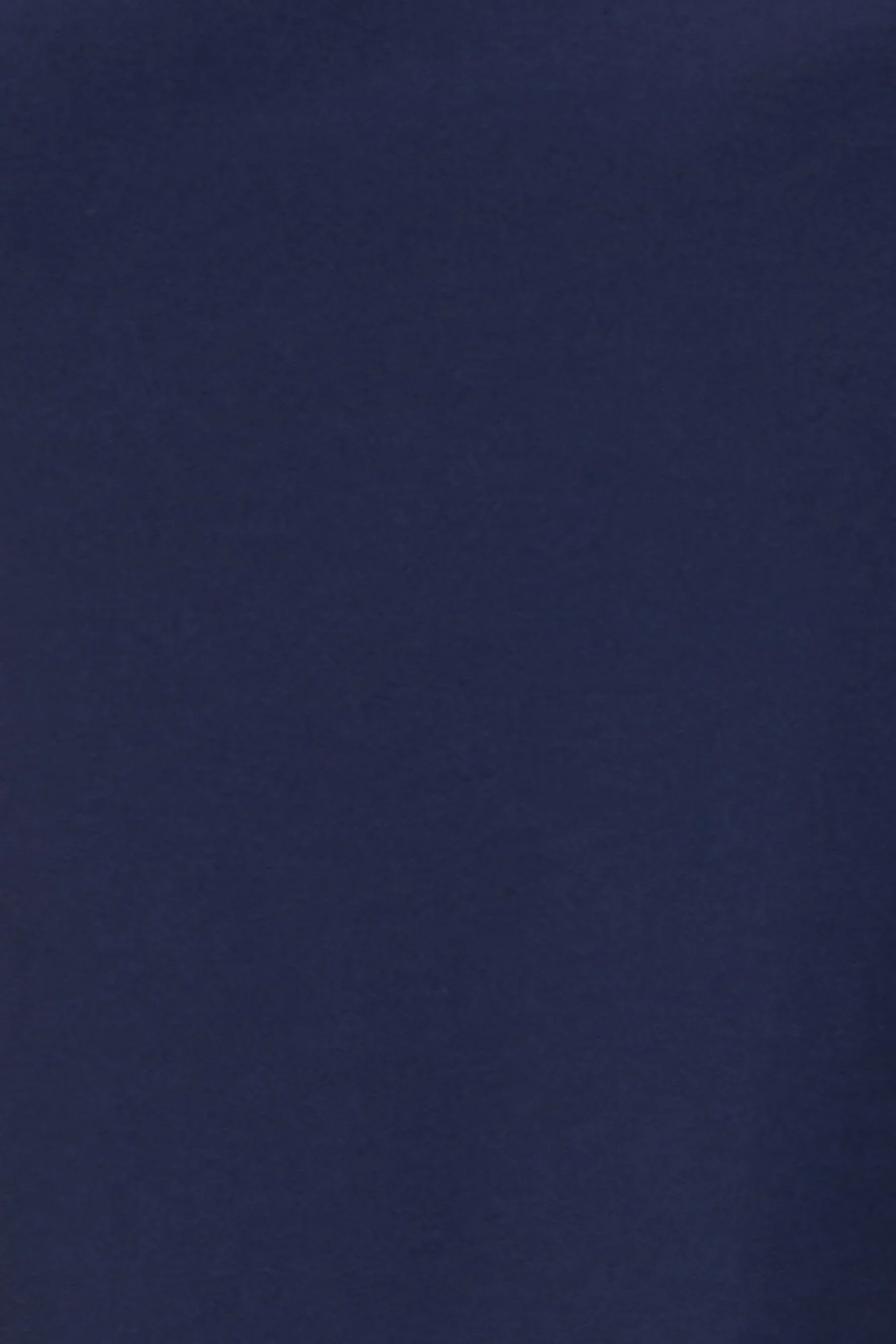 Hush Shorter Camisole - Image 6