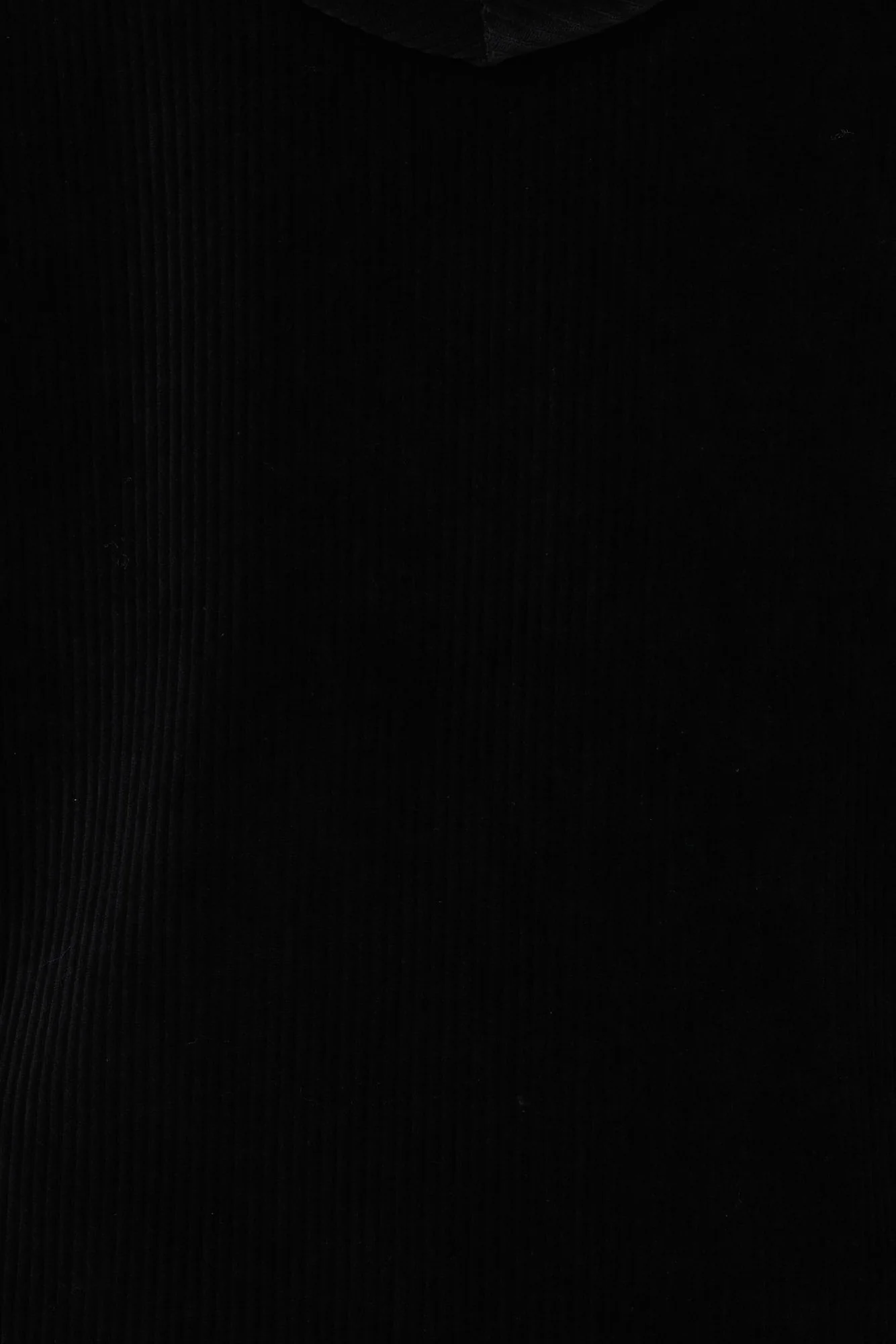 Maxwell Rib Velour Hoodie - Image 6